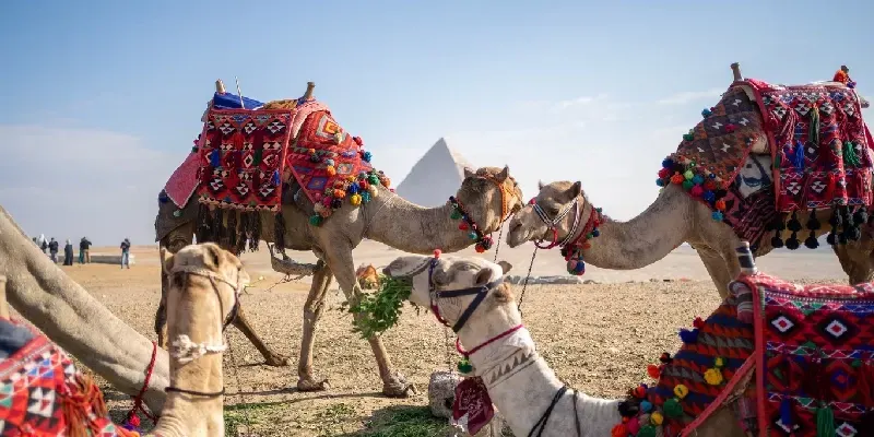 Séjour Pâques en Égypte